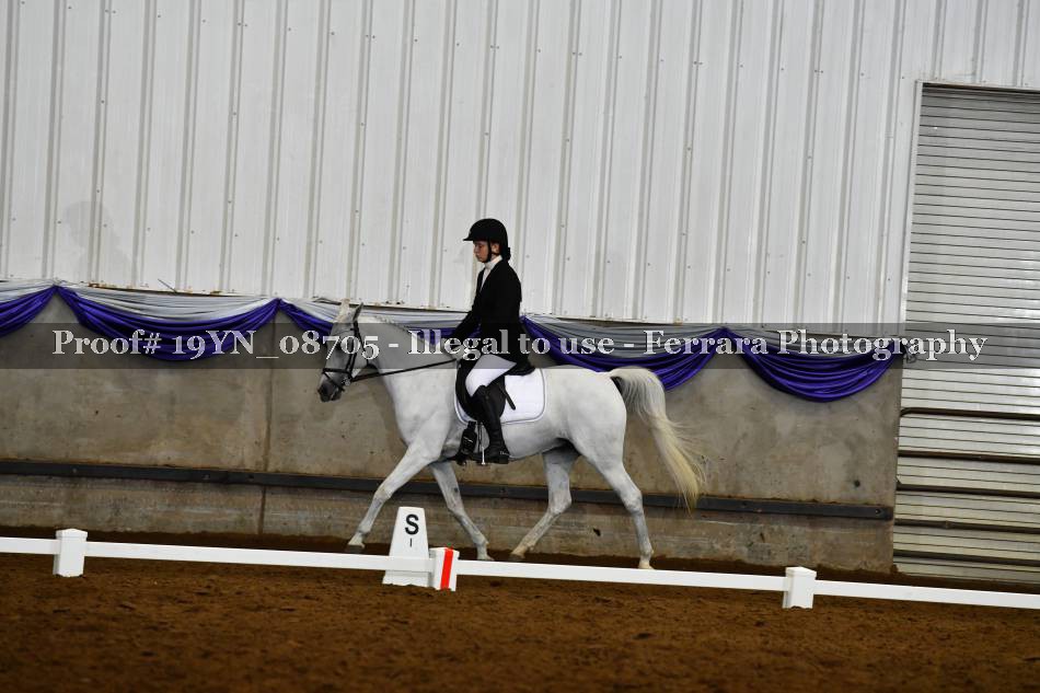 Proof 19YN_08705