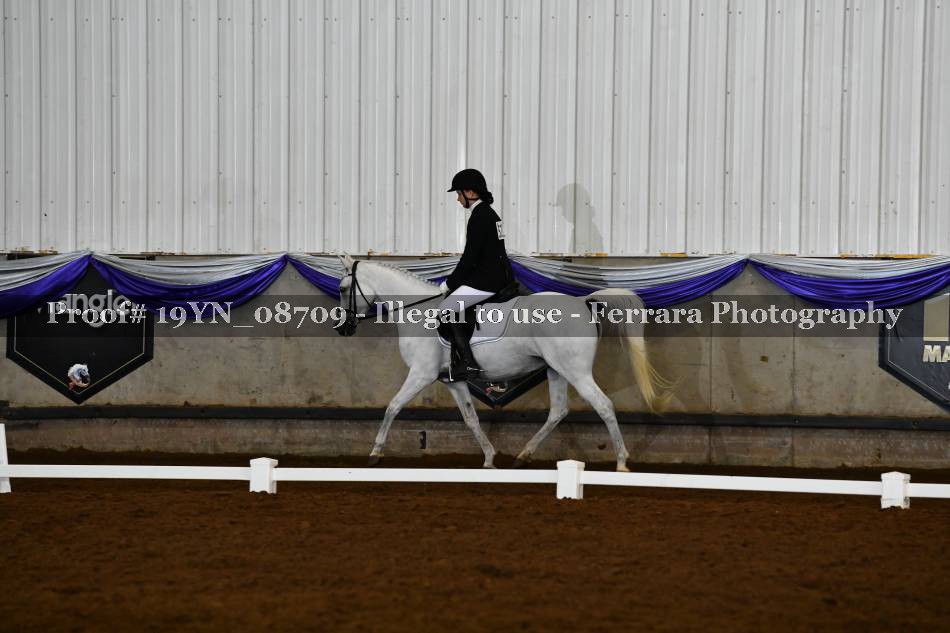 Proof 19YN_08709