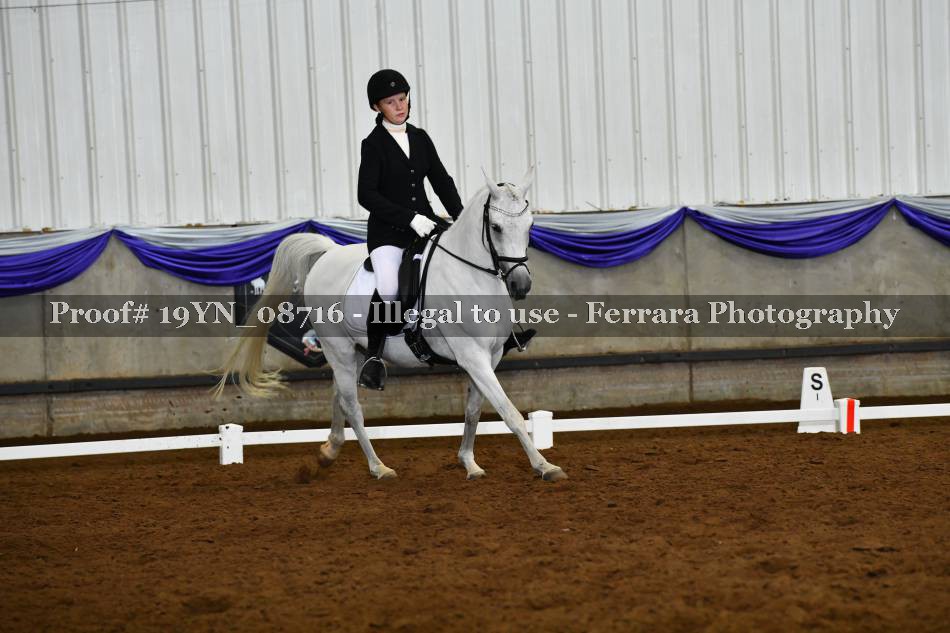 Proof 19YN_08716