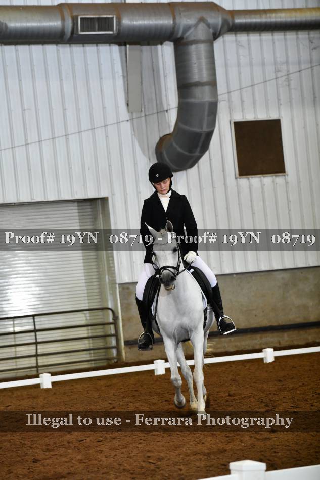Proof 19YN_08719