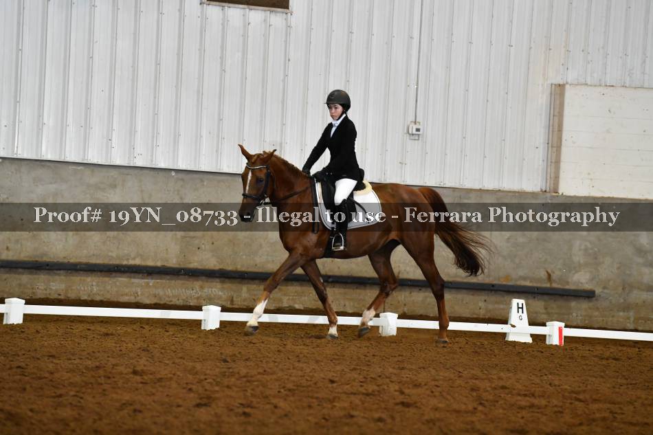 Proof 19YN_08733
