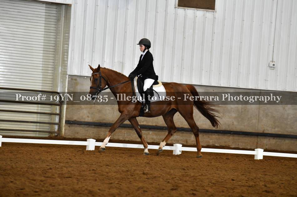 Proof 19YN_08735