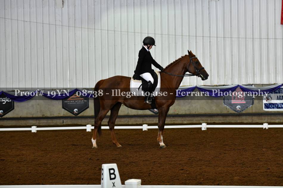 Proof 19YN_08738