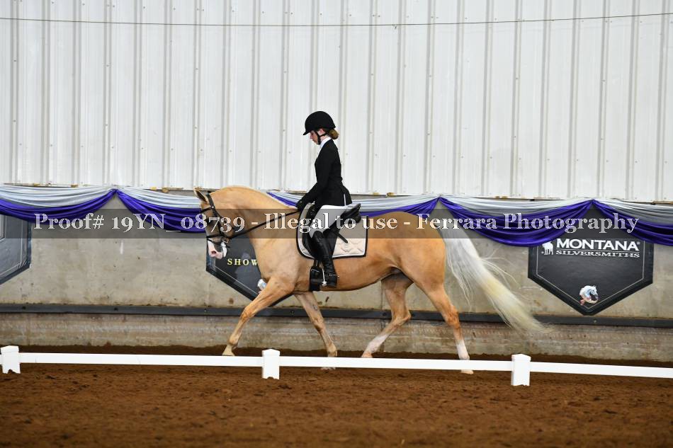 Proof 19YN_08739