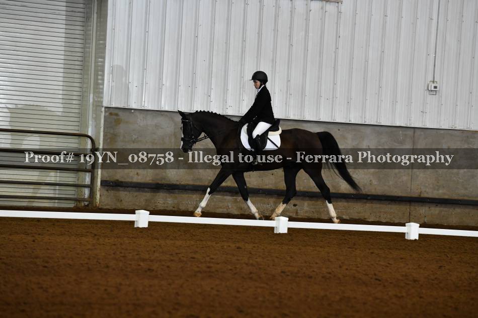 Proof 19YN_08758