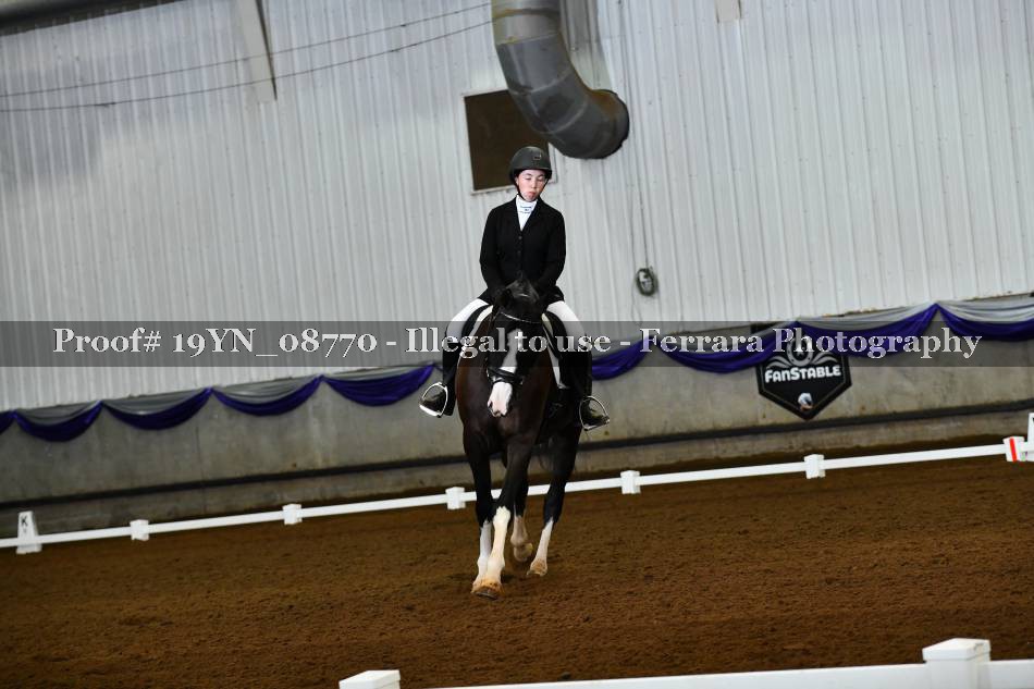 Proof 19YN_08770