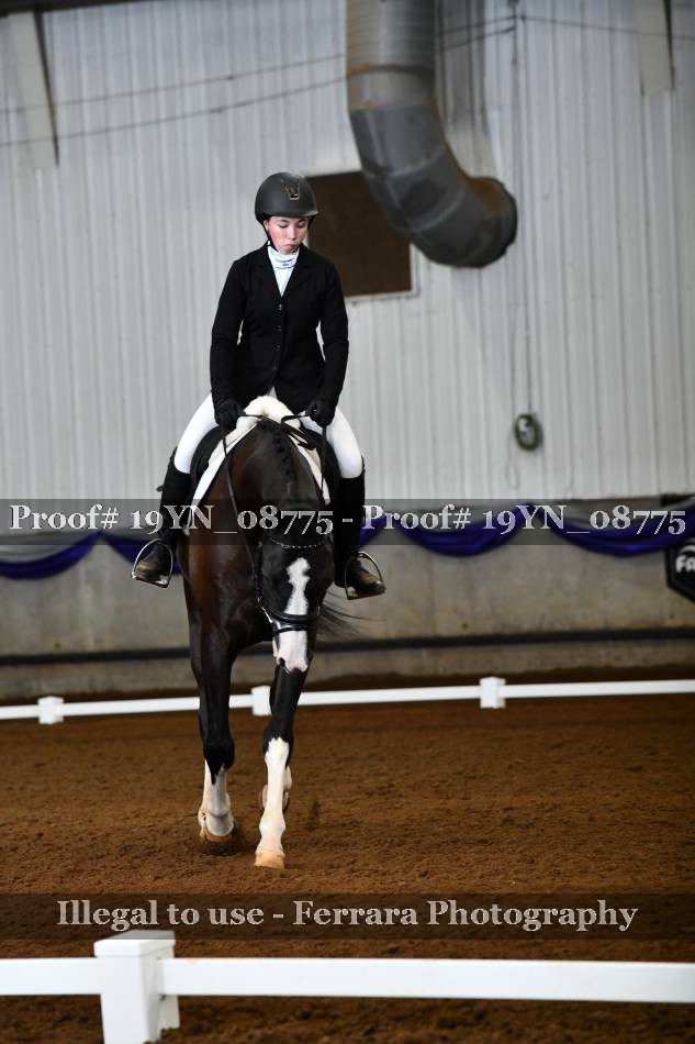 Proof 19YN_08775