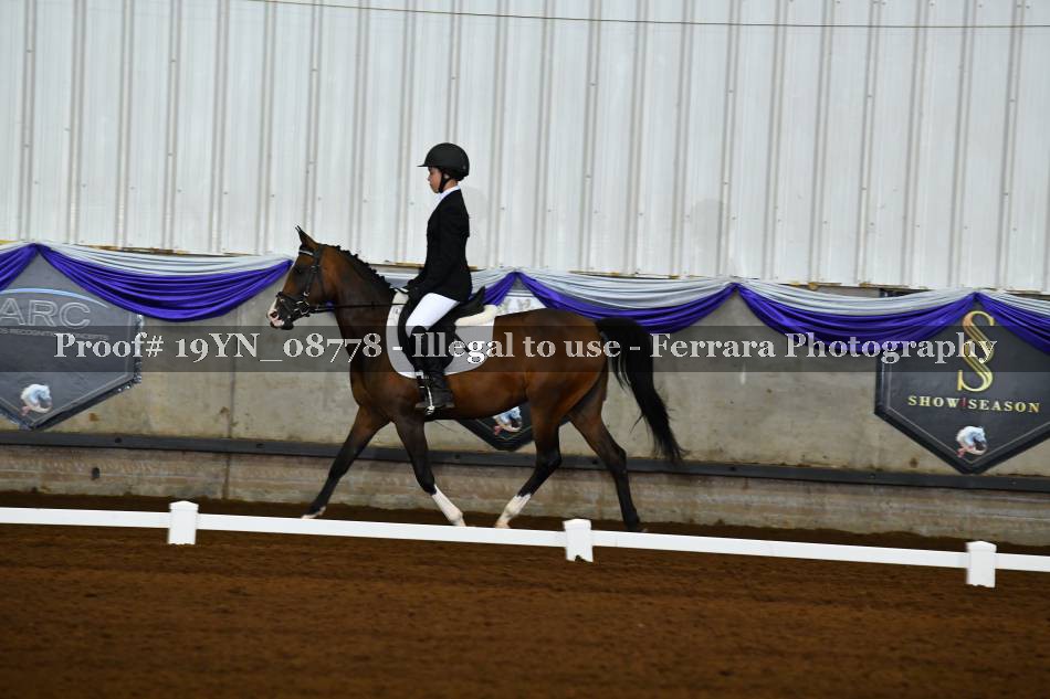 Proof 19YN_08778