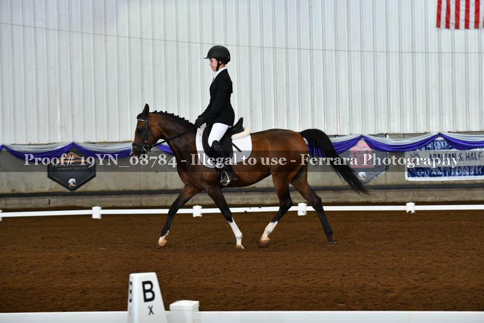 Proof 19YN_08784
