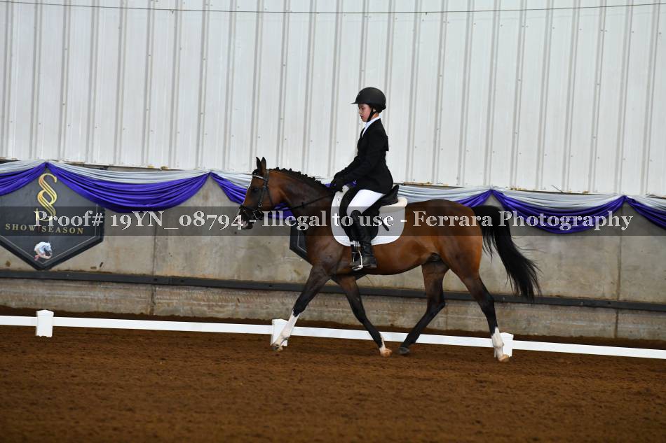 Proof 19YN_08794