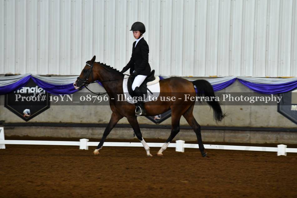 Proof 19YN_08796