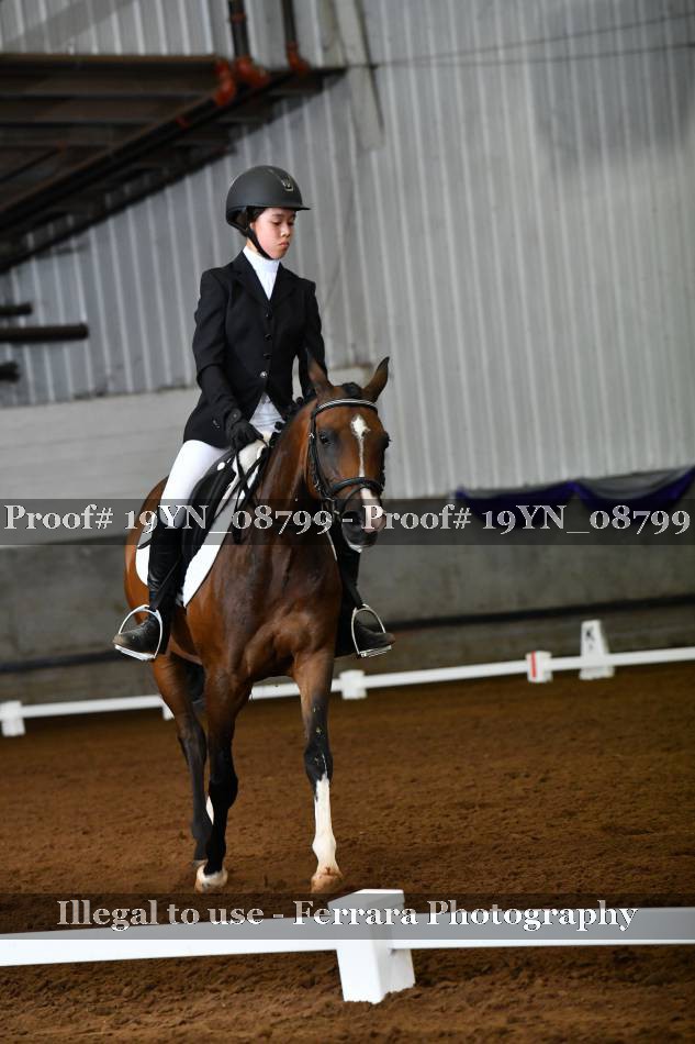 Proof 19YN_08799