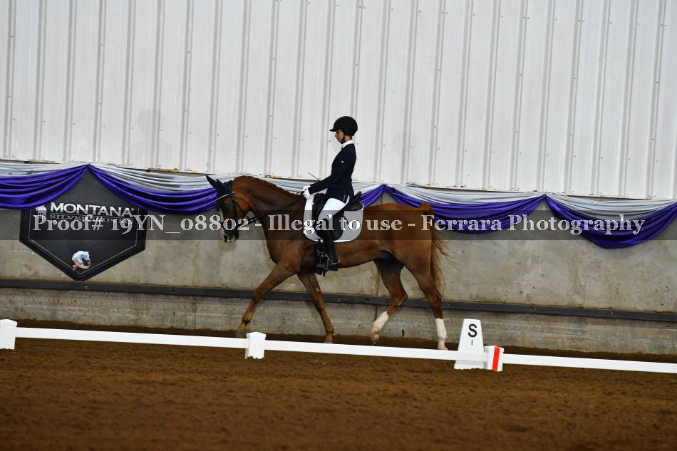 Proof 19YN_08802