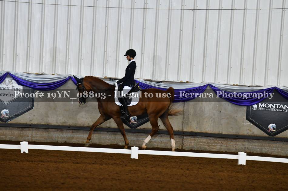Proof 19YN_08803