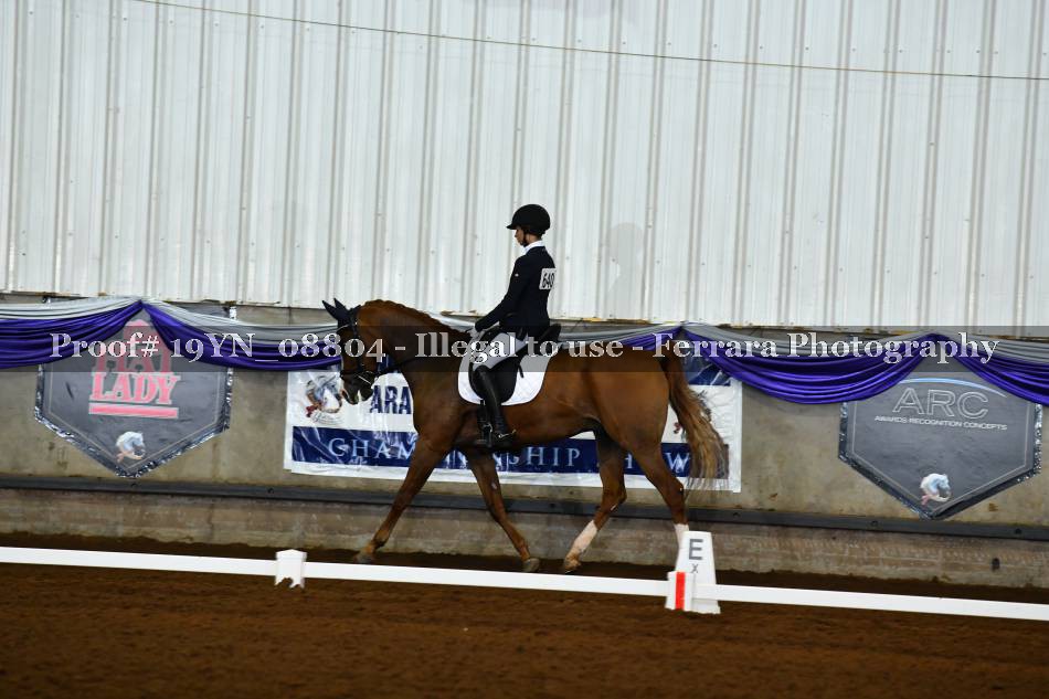 Proof 19YN_08804