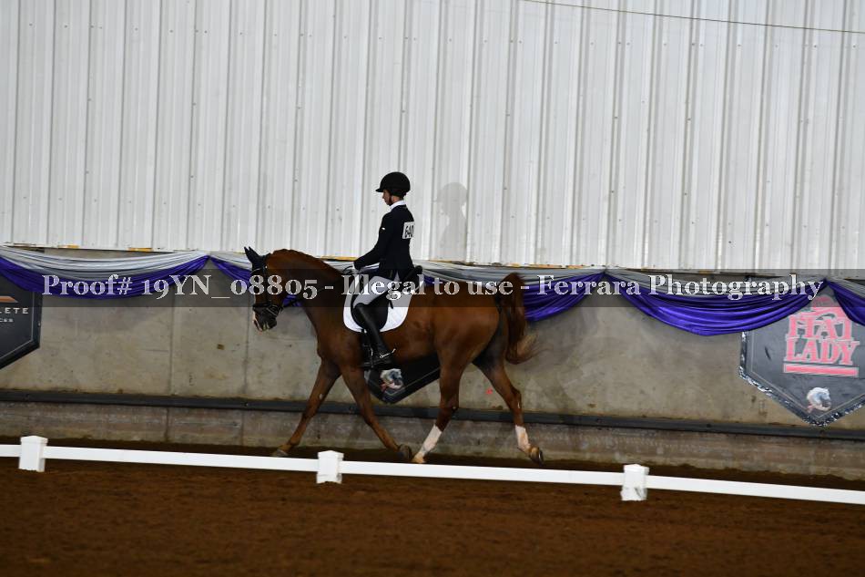 Proof 19YN_08805