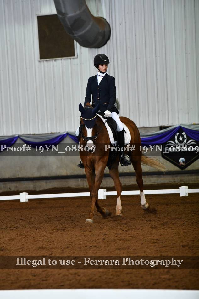 Proof 19YN_08809