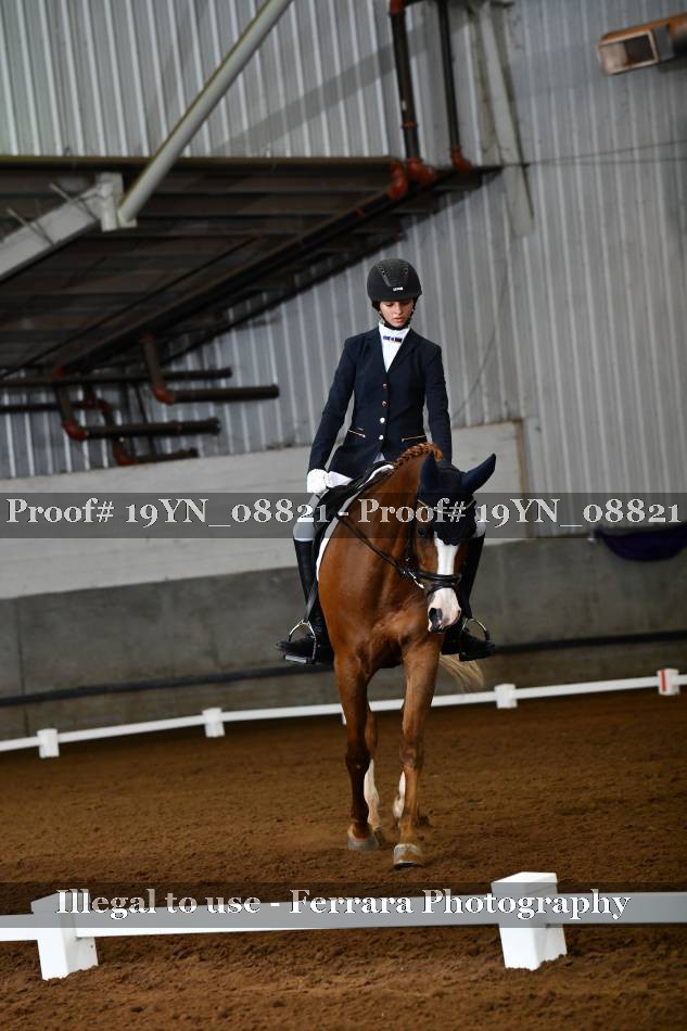 Proof 19YN_08821