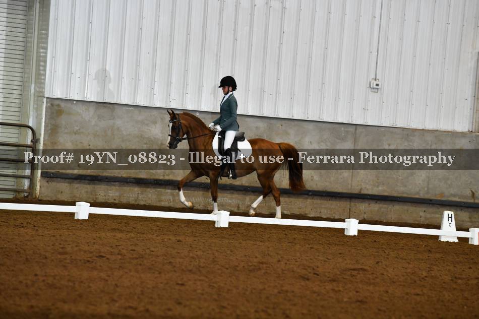 Proof 19YN_08823