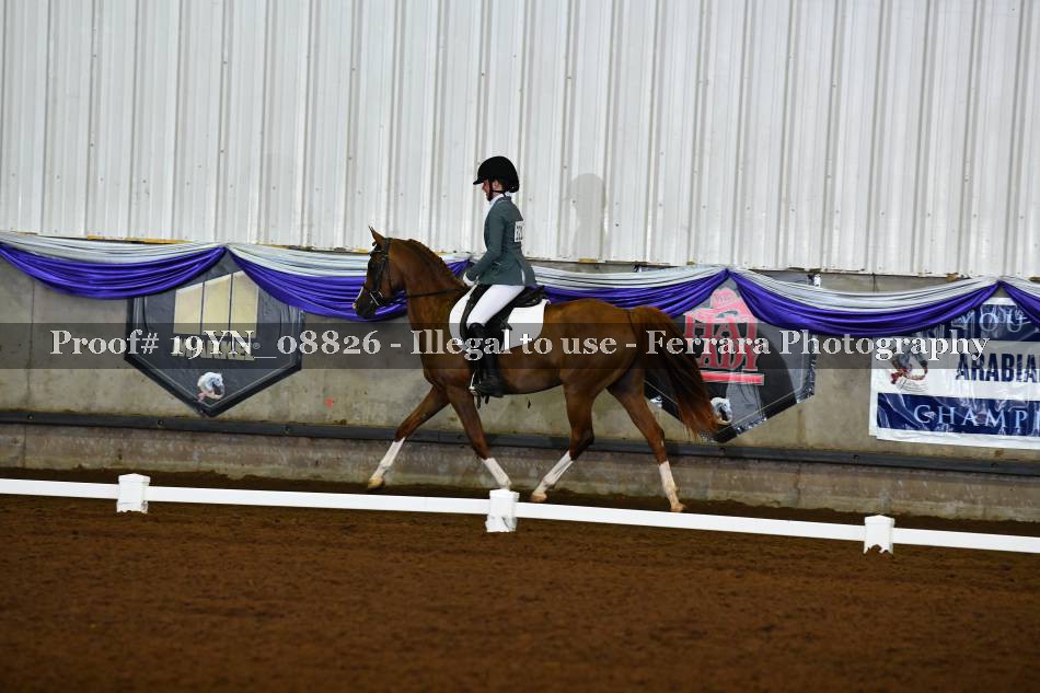 Proof 19YN_08826