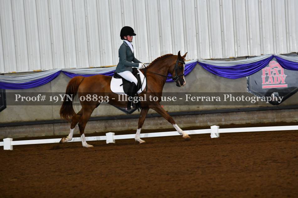 Proof 19YN_08833