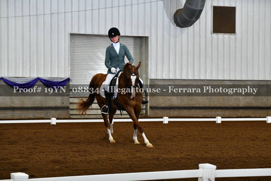 Proof 19YN_08834