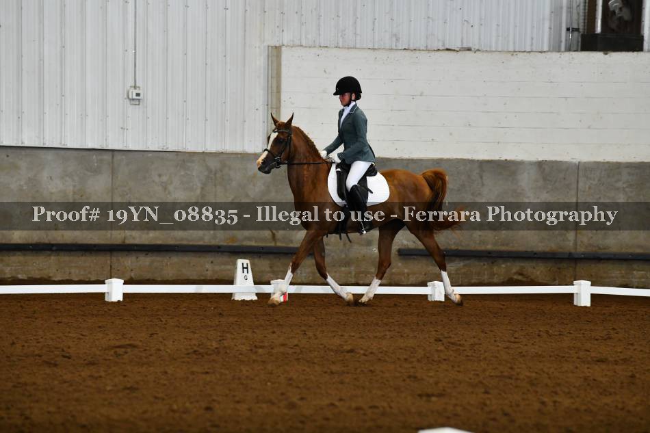 Proof 19YN_08835