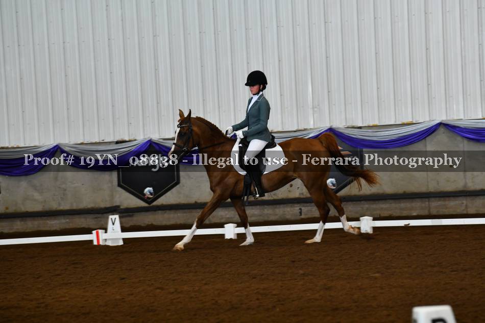 Proof 19YN_08838