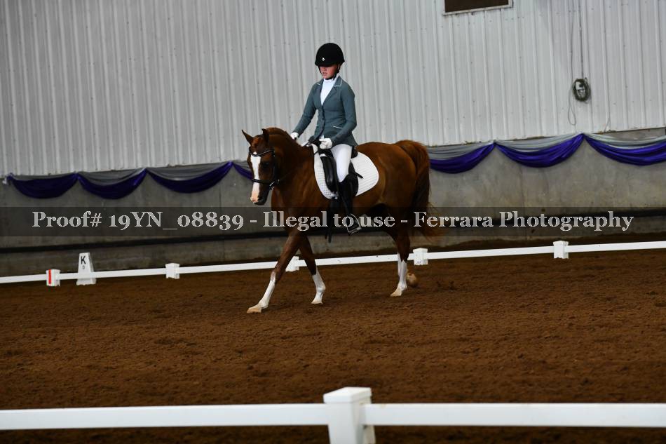 Proof 19YN_08839
