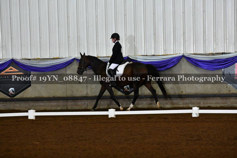 Proof 19YN_08847