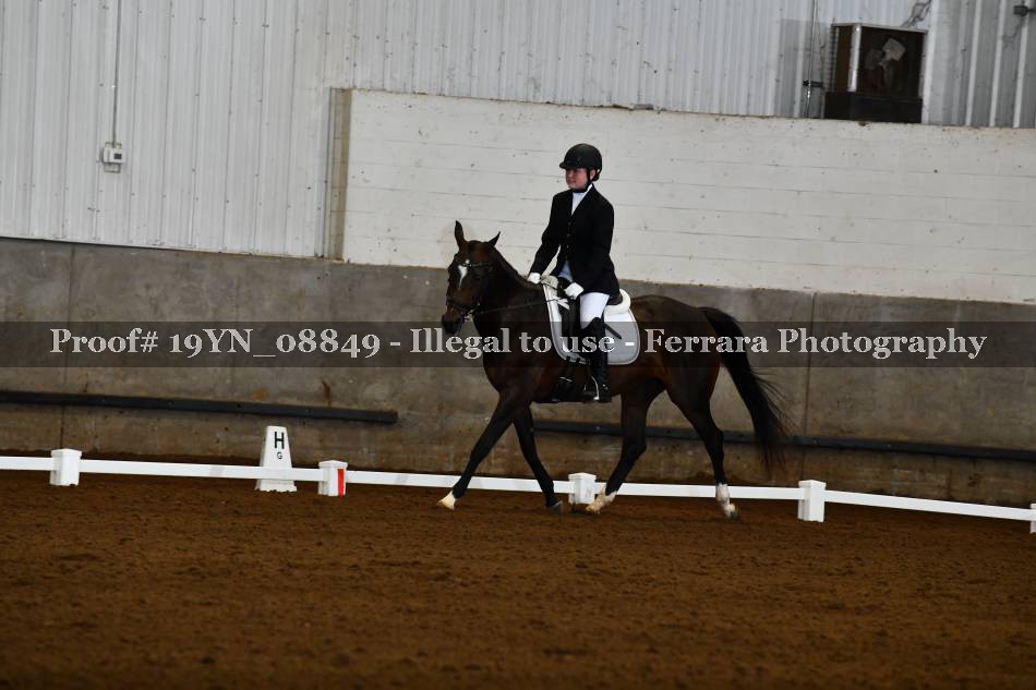 Proof 19YN_08849