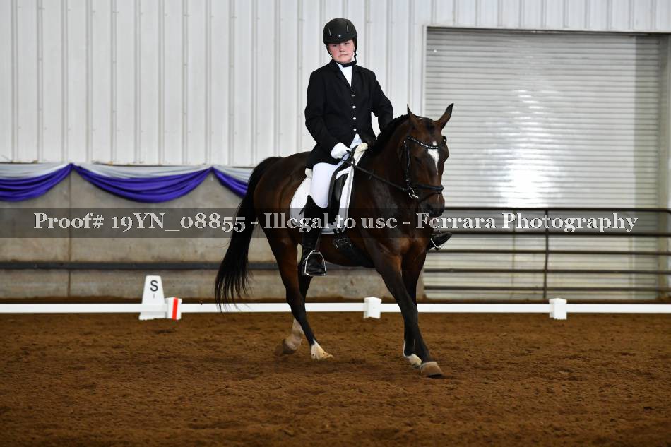 Proof 19YN_08855
