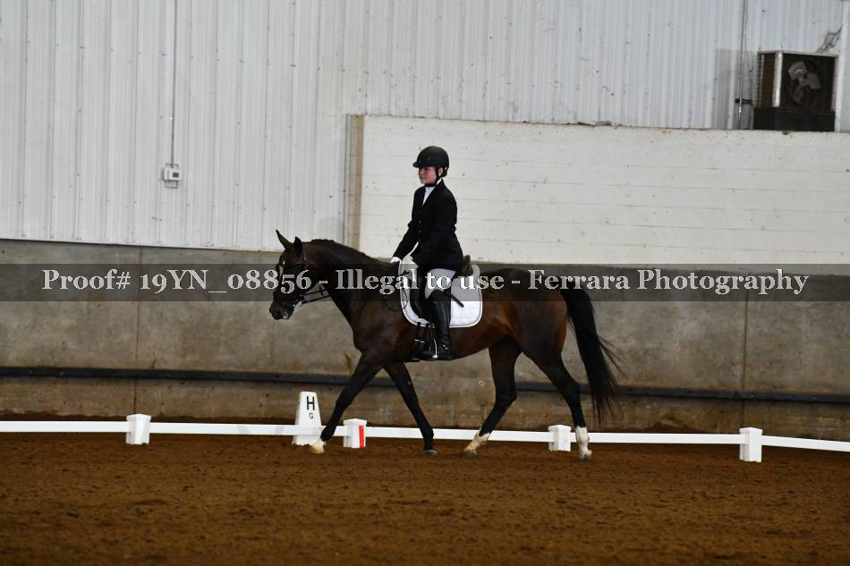 Proof 19YN_08856