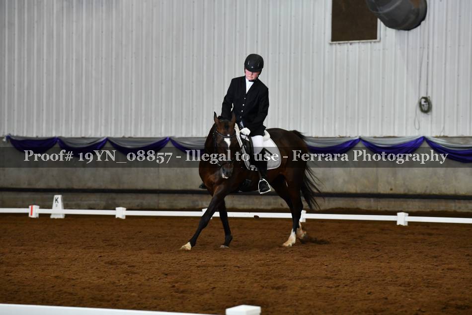 Proof 19YN_08857