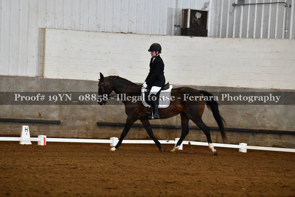 Proof 19YN_08858