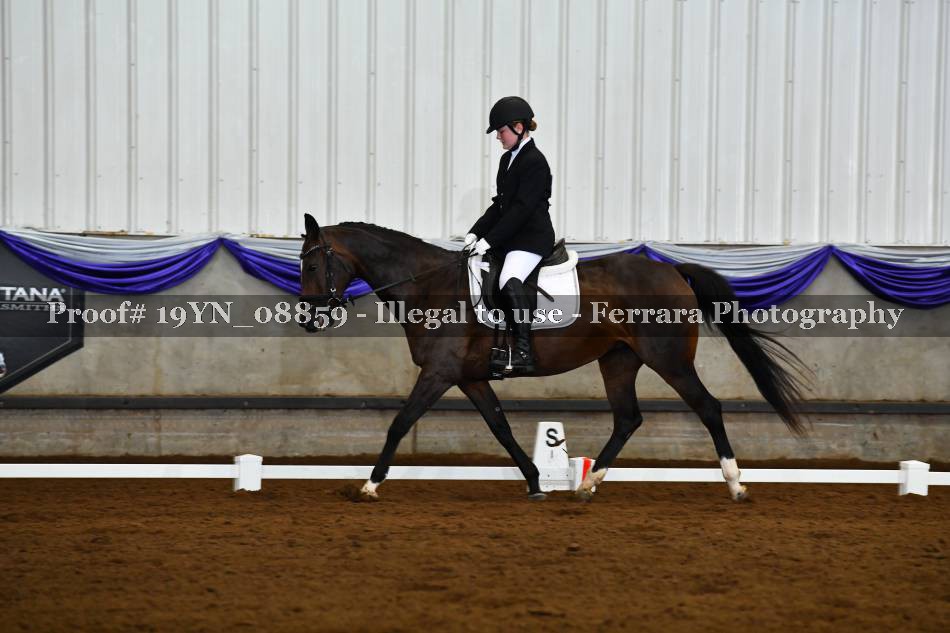 Proof 19YN_08859