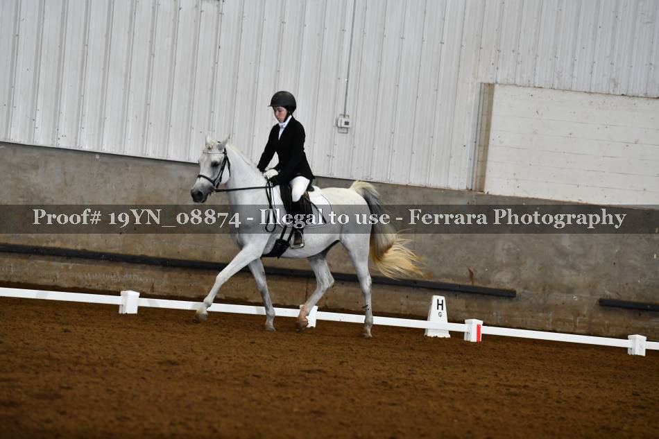 Proof 19YN_08874