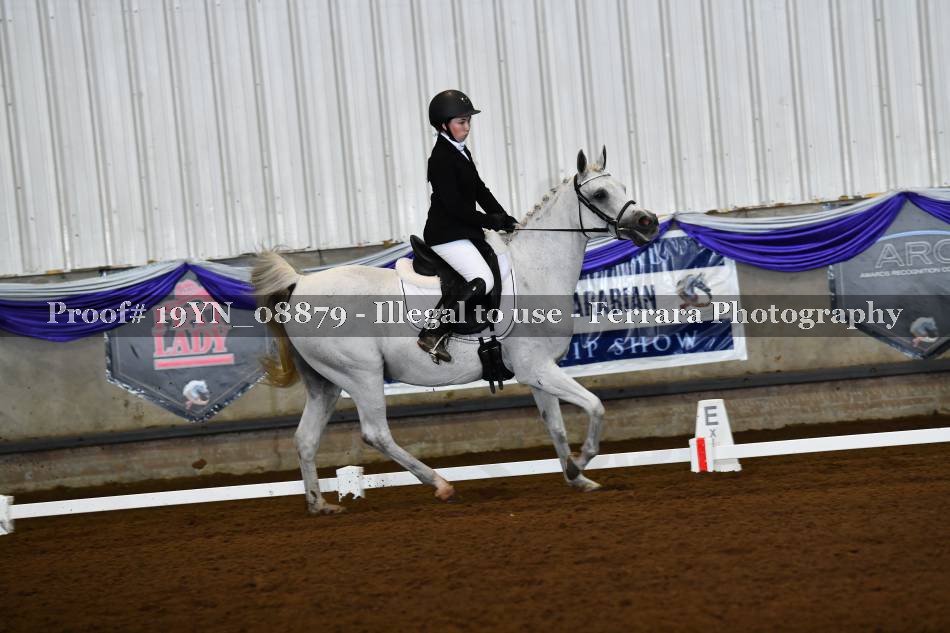 Proof 19YN_08879