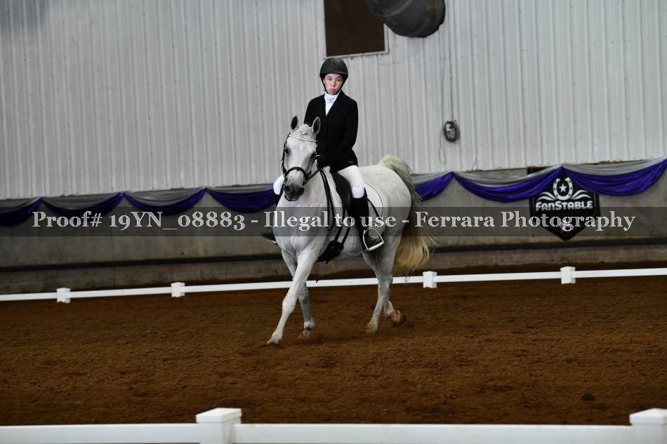 Proof 19YN_08883