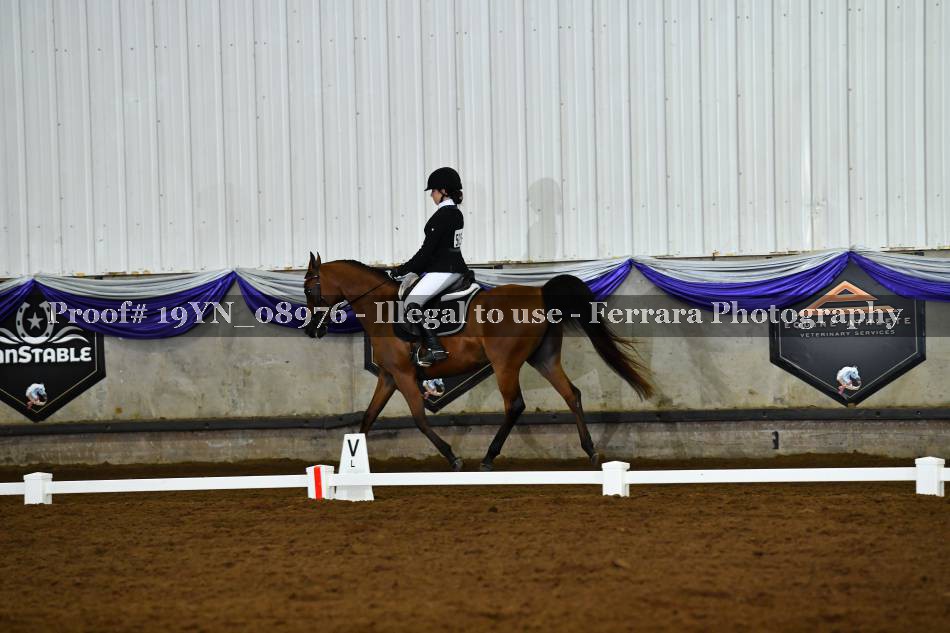 Proof 19YN_08976