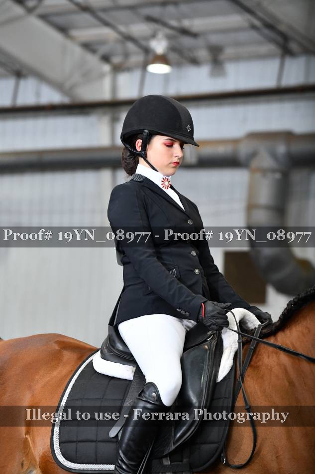 Proof 19YN_08977