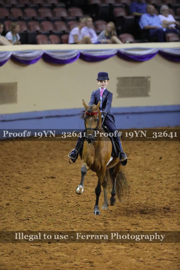 Proof 19YN_32641