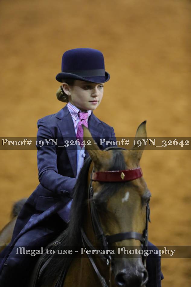 Proof 19YN_32642