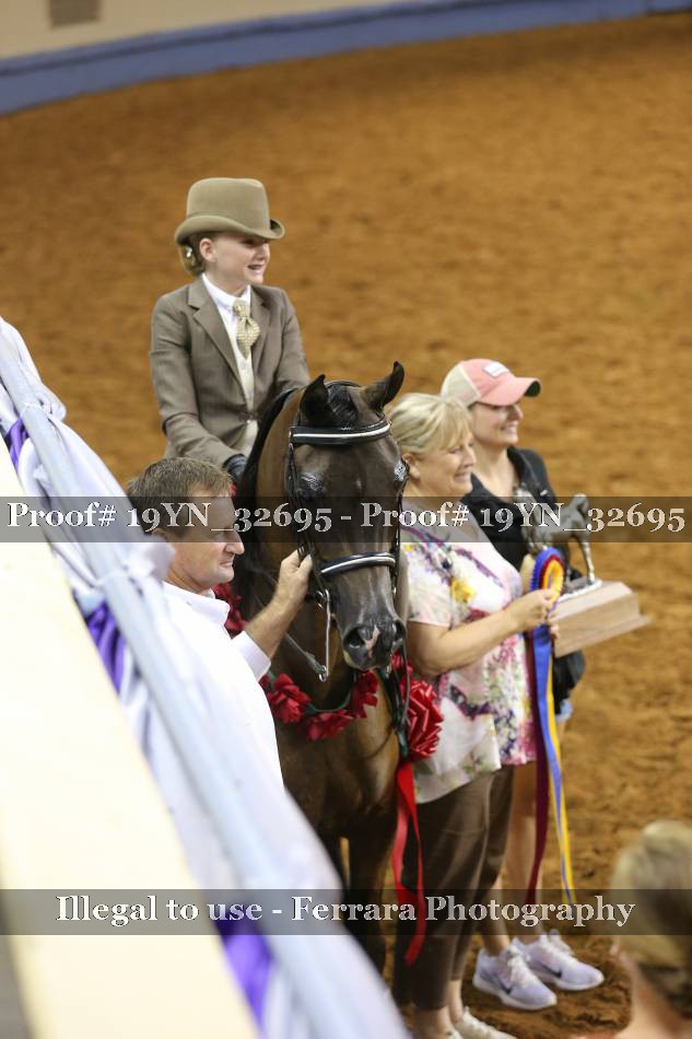 Proof 19YN_32695