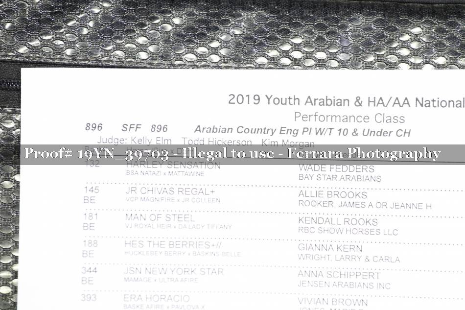 Proof 19YN_39703