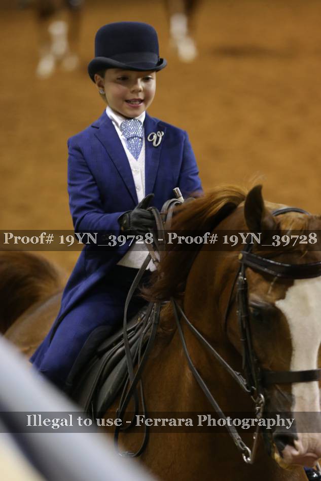 Proof 19YN_39728