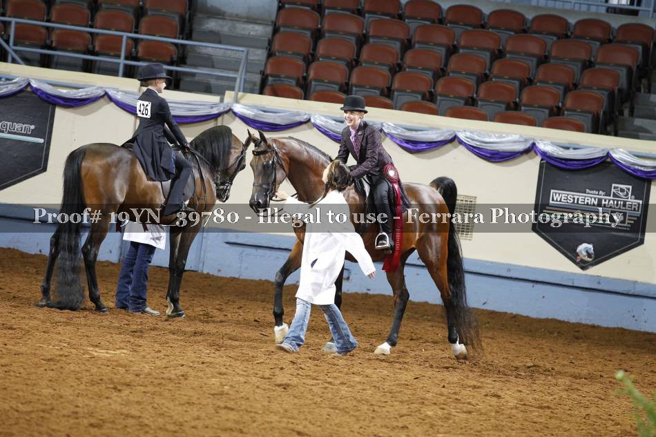 Proof 19YN_39780