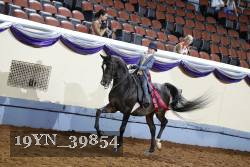 19YN_39854 proof
