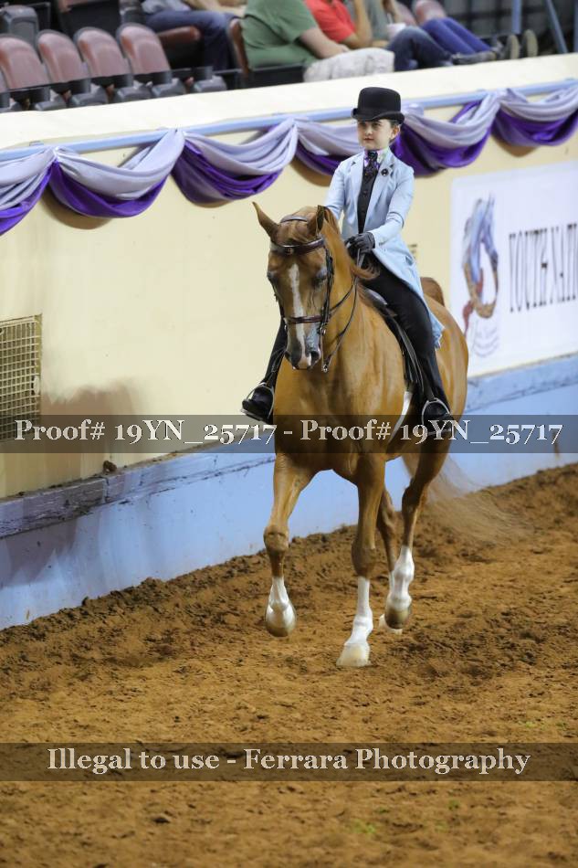 Proof 19YN_25717