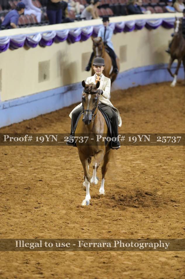 Proof 19YN_25737
